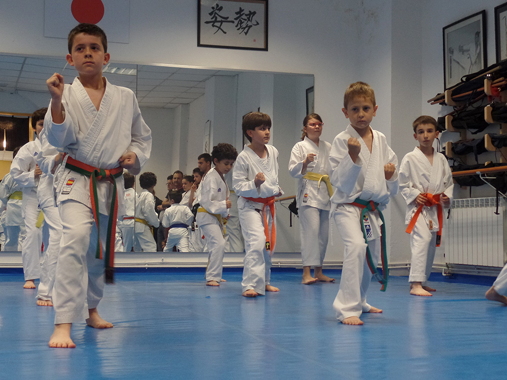 Karate Infantil León