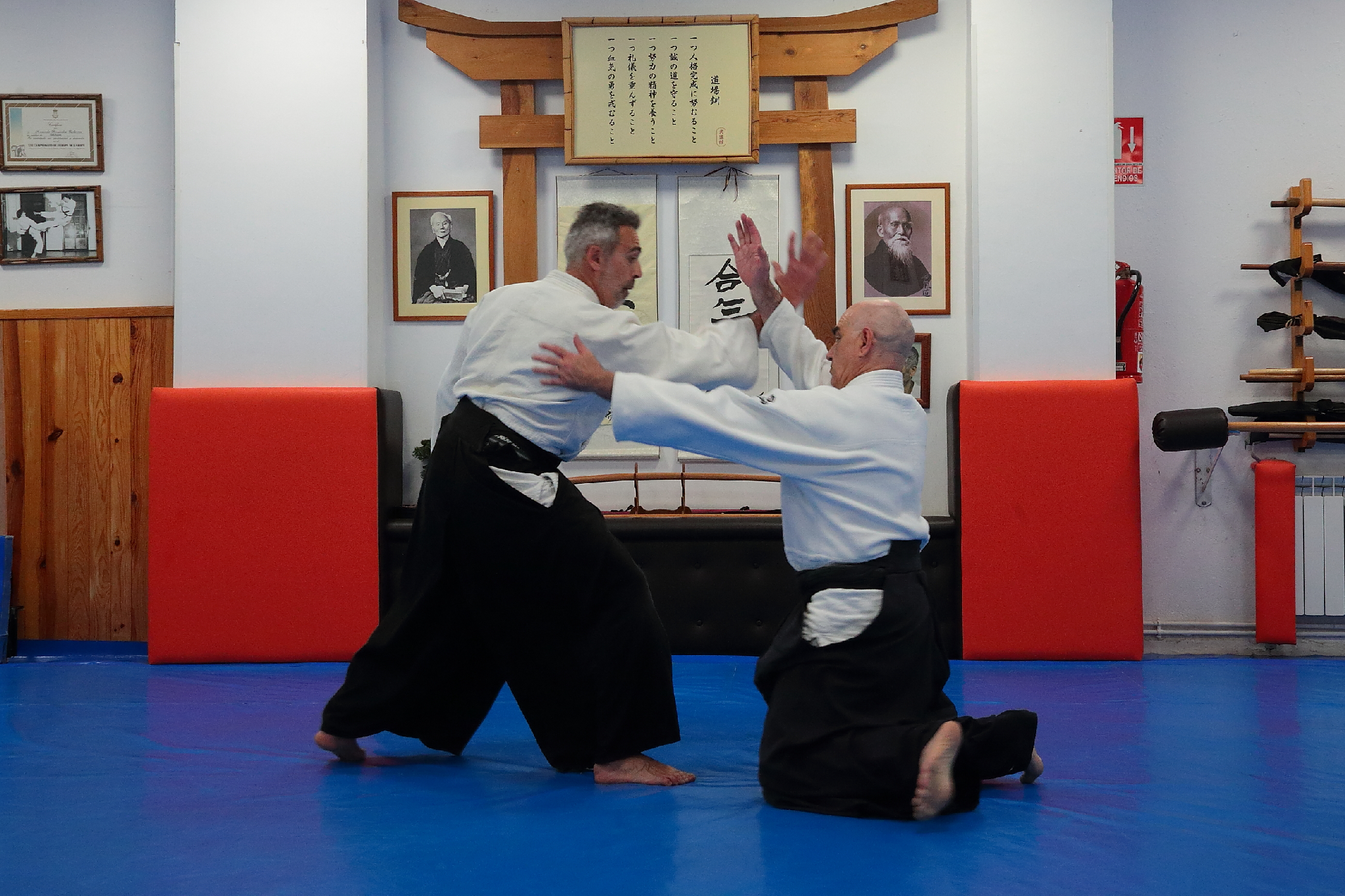Aikido León Abril 2026 46