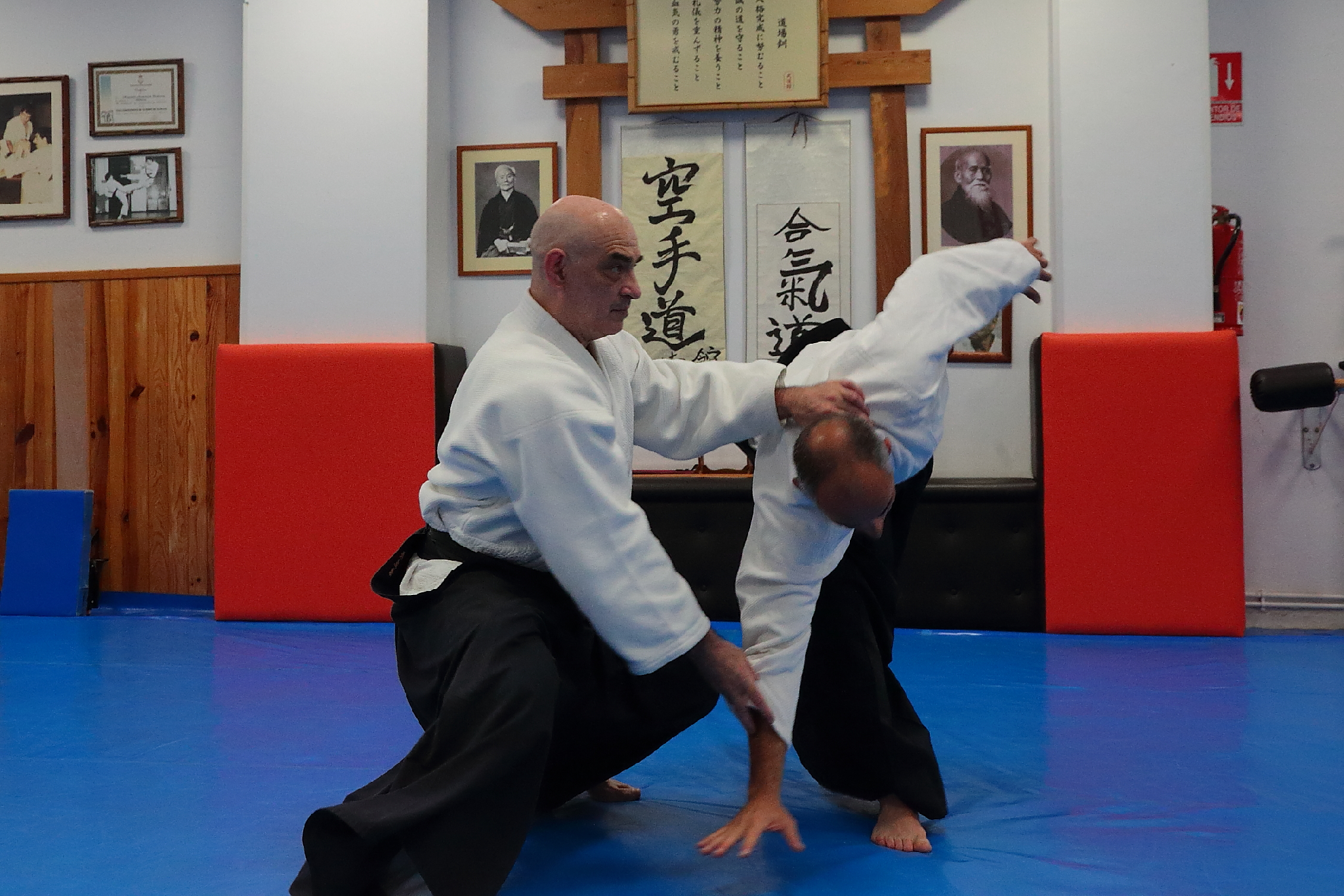 Aikido León Abril 2026 48