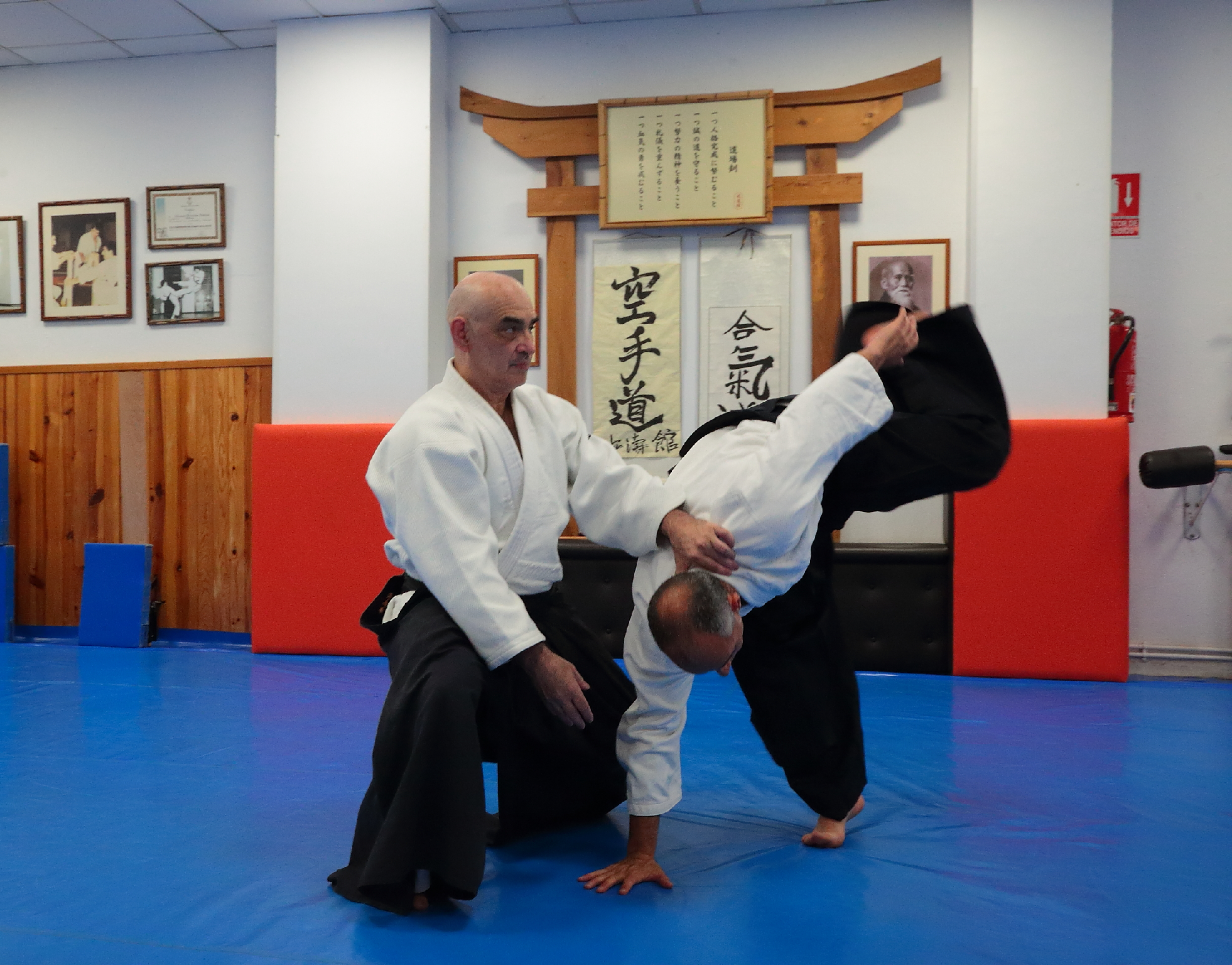 Aikido León Abril 2026 49